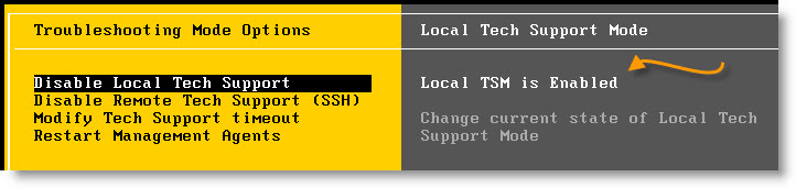 Local Tech Support