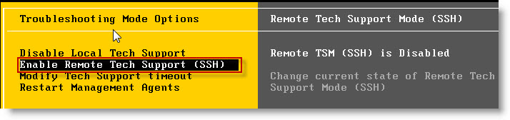 Remote Tech Support